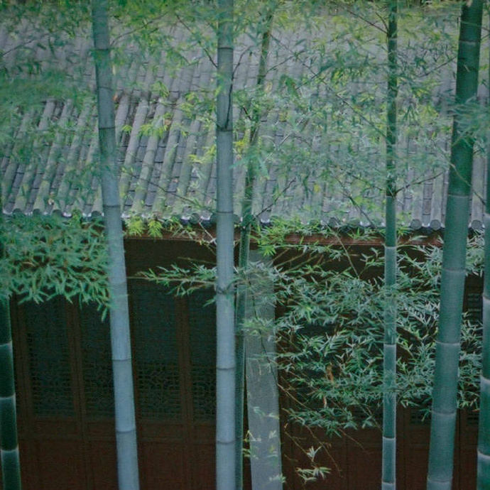 陆竹