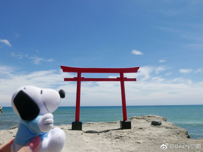 蓝天白云下，静静伫立在白滨海岸边的鸟居太惊艳