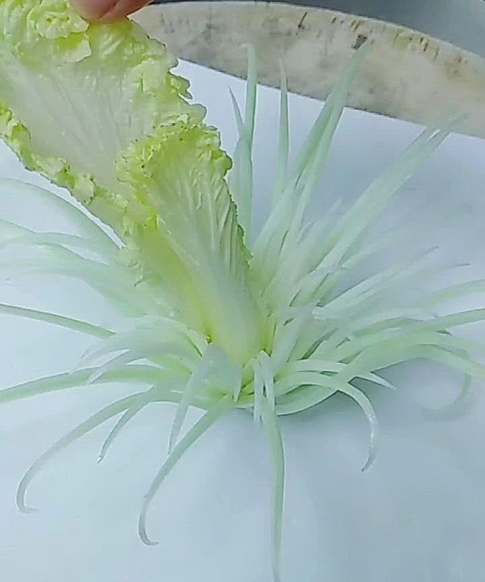小伙用白菜做雕刻,最后一片白菜拔下来时,菊花怒放,太惊艳了