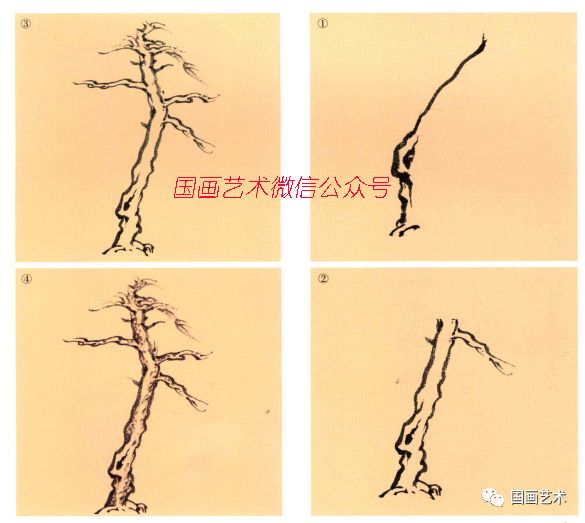 图文教程:松树的画法解析|松针|松树|松干|松枝|三株_新浪新闻