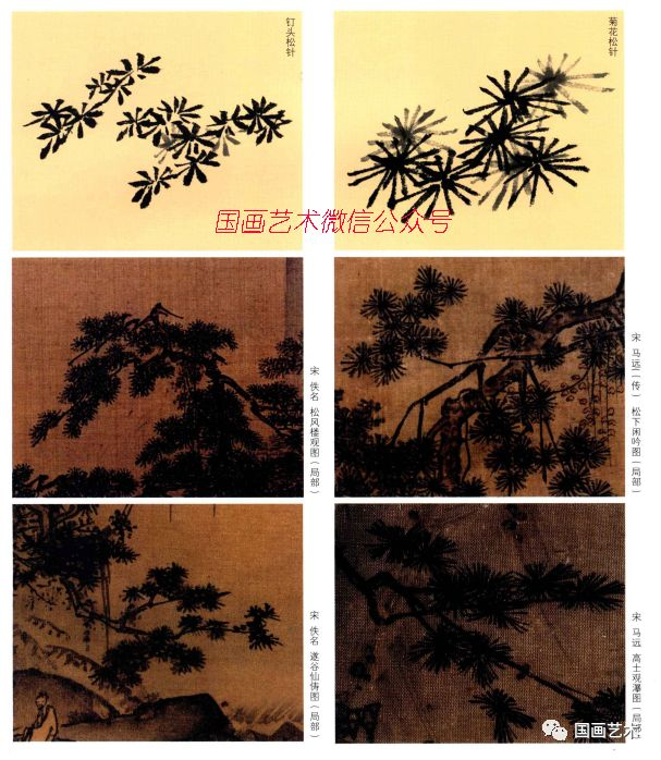 图文教程:松树的画法解析|松针|松树|松干|松枝|三株_新浪新闻