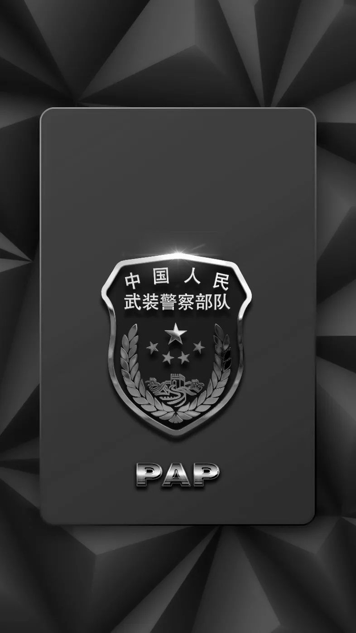 军旅壁纸 | 武警80张原创标志符号壁纸合集(文末附送电脑壁纸)