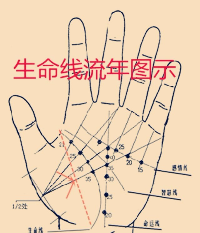 手相中生命线的解释(之三):双重生命线具有逢凶化吉的功能!|生命线|手相|大灾|大病|切线_新浪新闻