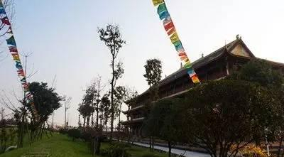双流胜利镇: 这么小的地方哪来的这么多“最”?