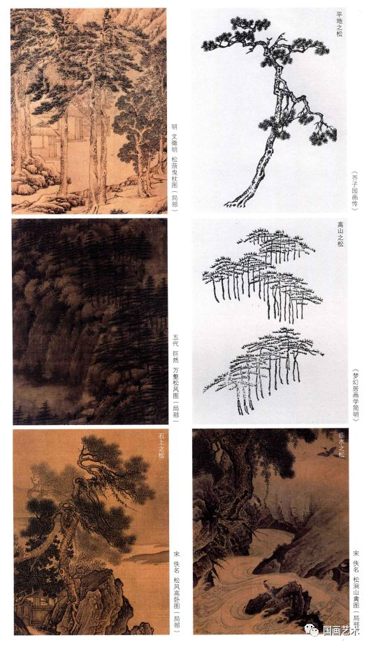 图文教程：松树的画法解析|松针|松树|松干|松枝|三株_新浪新闻