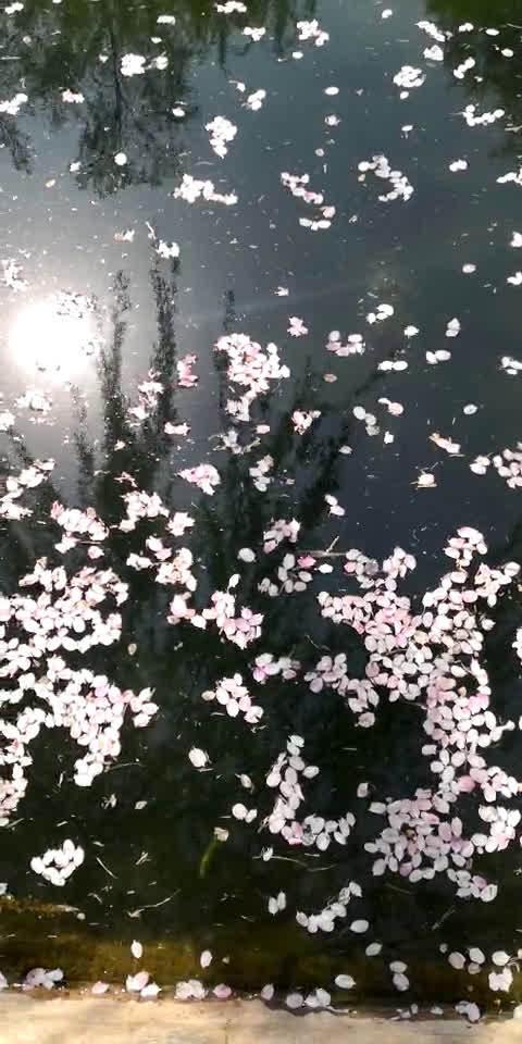 茫茫如水一般日子淌过如风的呼吸记忆于我面对旧时听往日声音