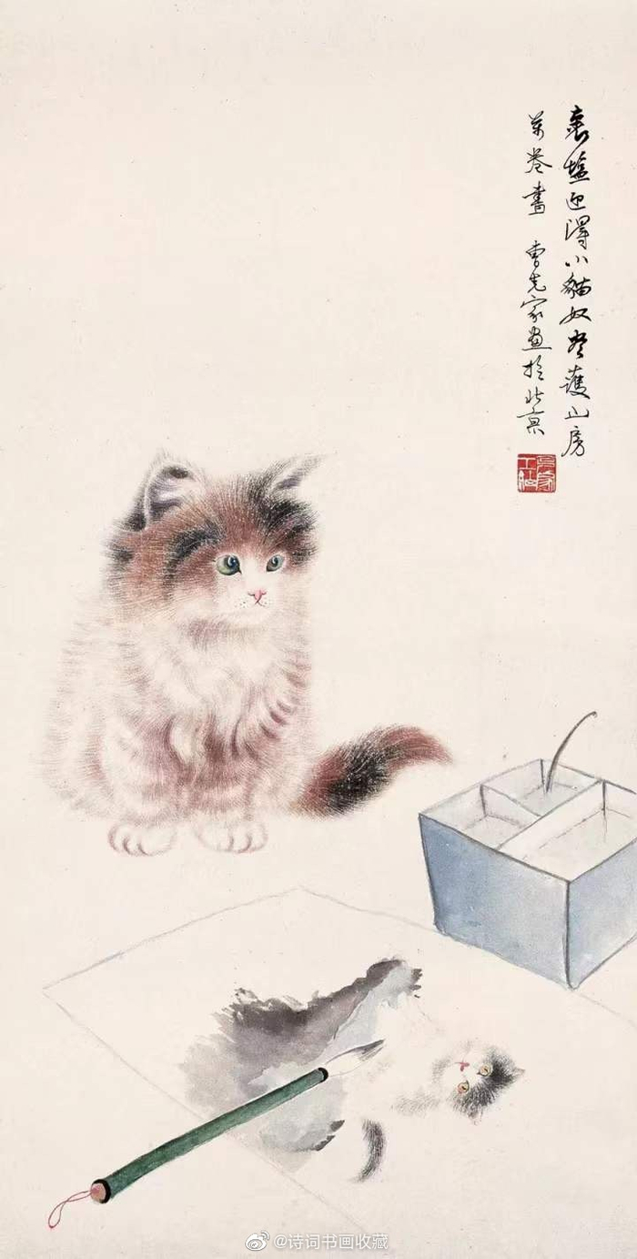 曹克家笔下的猫，神态逼真、栩栩如生