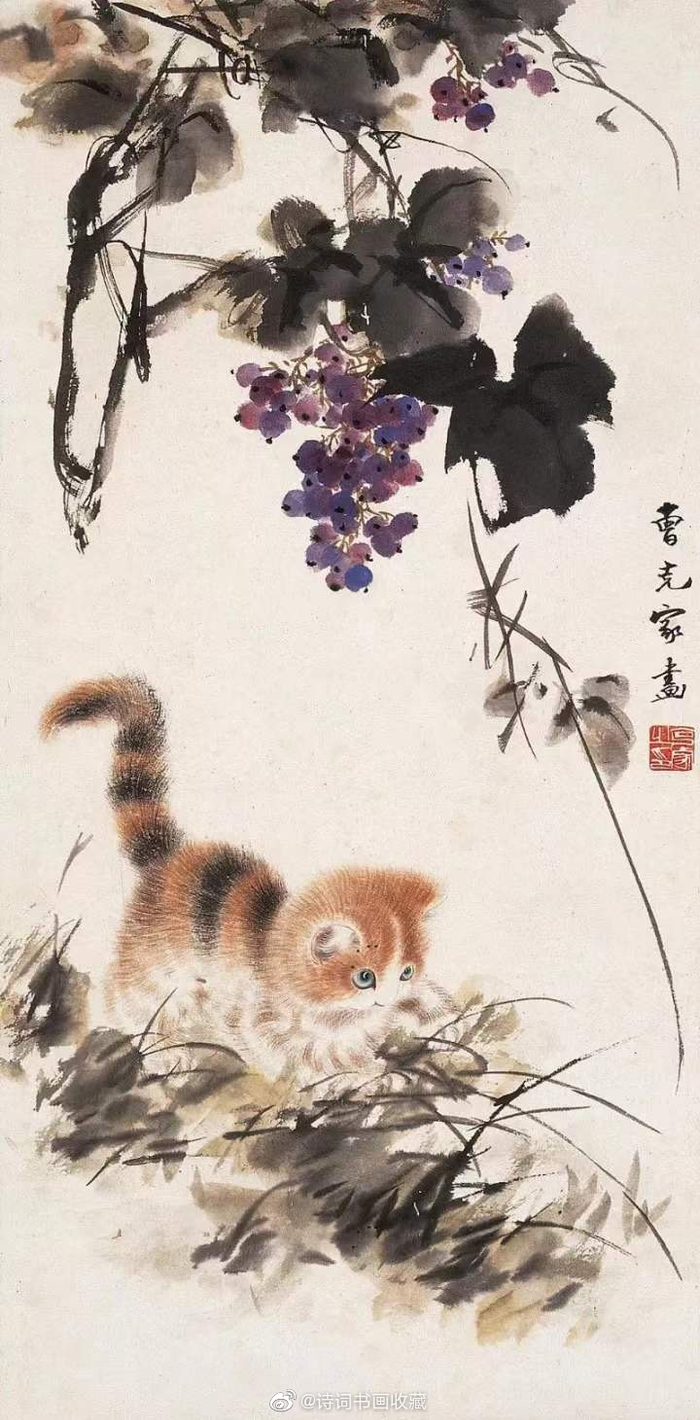 曹克家笔下的猫，神态逼真、栩栩如生