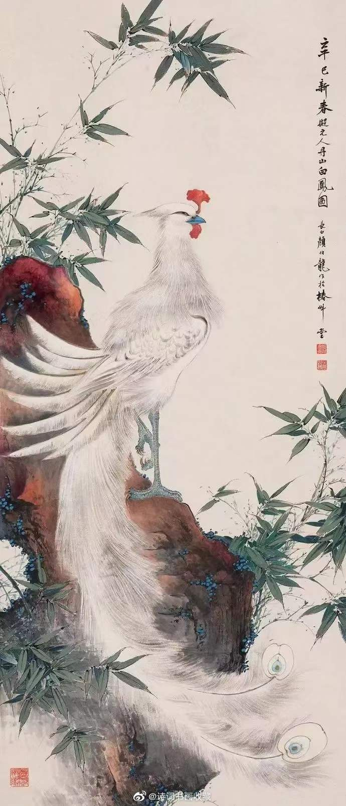 颜伯龙 花鳥圖 颜伯龙花鸟精品欣赏