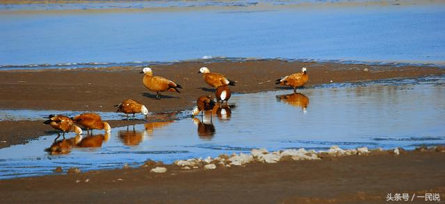 海兴seo关键词优化贵不贵