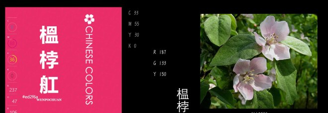 色论：有关中国传统色（1）——红