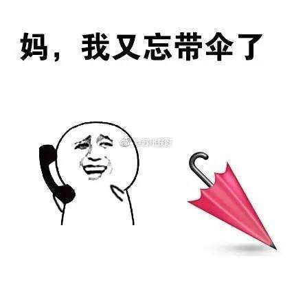 太阳☀:不好意思,我去流浪了! cr:斗图必备表情包