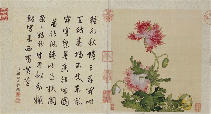 郎世宁 工笔画《花鸟图册》 梁诗正书法题诗 欣赏