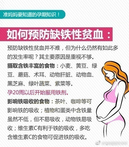 孕期知识