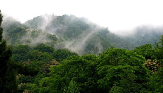 广东韶关翁源县四个值得一去的旅游景点，喜欢的不要错过了