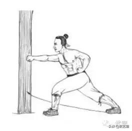 外功 | 秘传八段锦之神勇功|树干|弓步|马步|右脚|左腰_新浪新闻