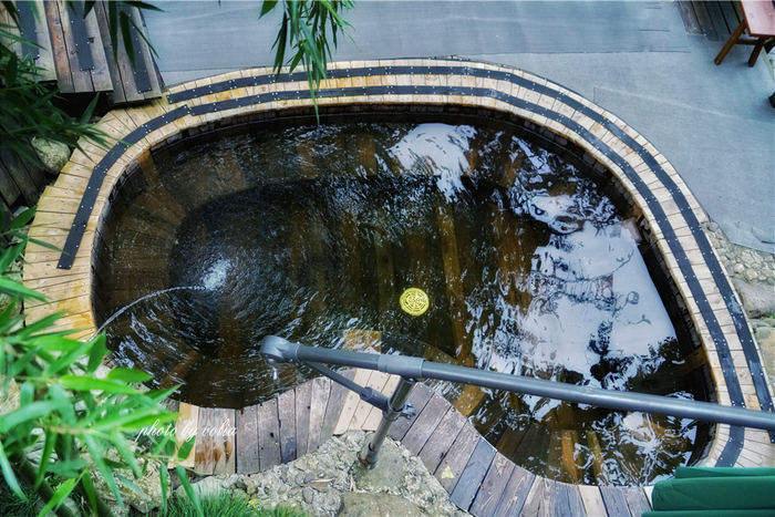 宁海森林温泉也称天明山南溪温泉,泉水取自天明山158米龙脉深处_新浪新闻