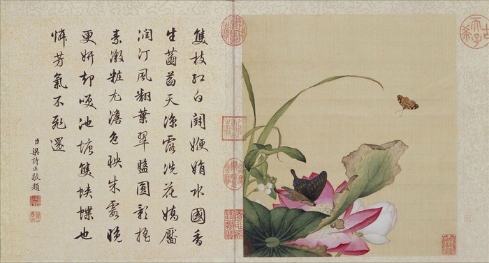 郎世宁 工笔画《花鸟图册》 梁诗正书法题诗 欣赏__财经头条