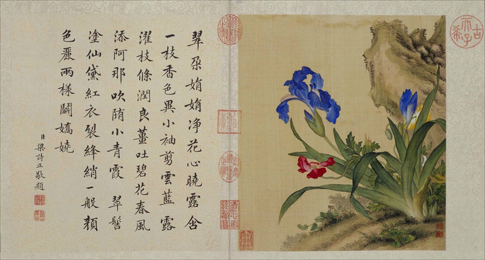 郎世宁 工笔画《花鸟图册》 梁诗正书法题诗 欣赏__财经头条