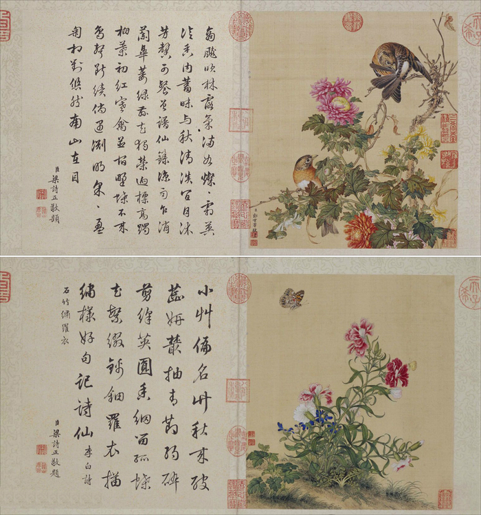 郎世宁 工笔画《花鸟图册》 梁诗正书法题诗 欣赏__财经头条