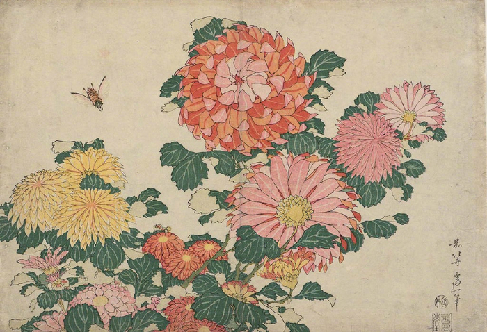 花鸟图浮世绘（cr.葛饰北斋）