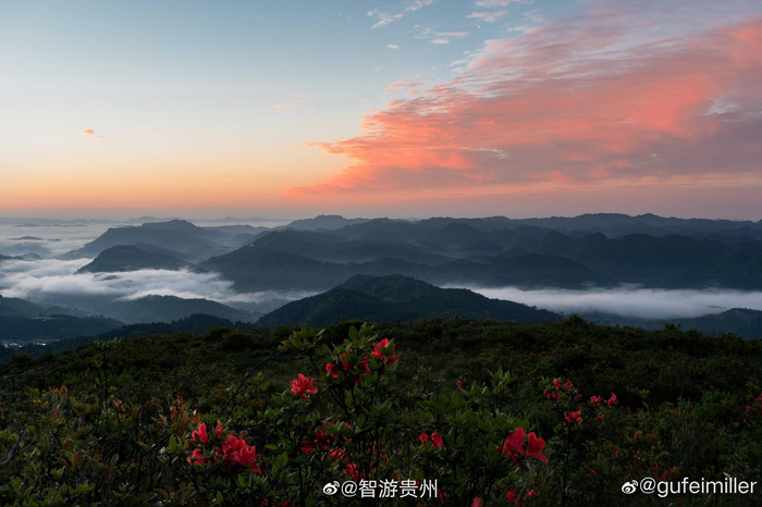 凌晨到清晨的花溪高坡，云海，星空，气辉，朝霞_新浪新闻