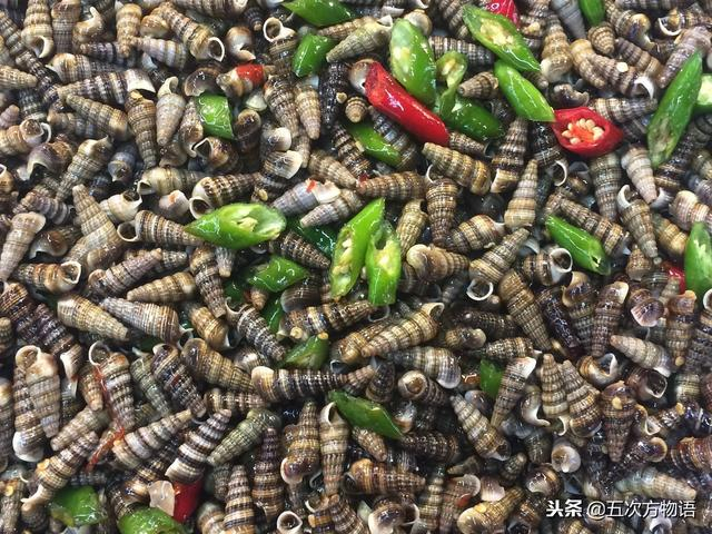 青岛人常吃的海螺,其实没几种|泥螺_新浪新闻