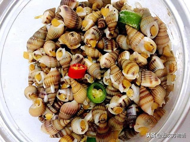 青岛人常吃的海螺,其实没几种|泥螺_新浪新闻
