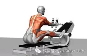 4、单臂划船