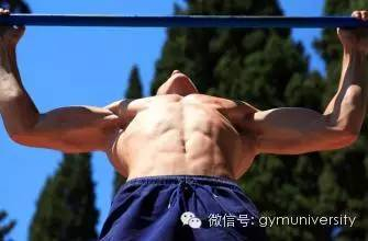 2、窄握引体向上