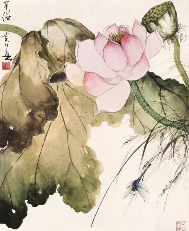 黄幻吾笔下的荷,栩栩如生|黄幻吾|黄幻|笔下