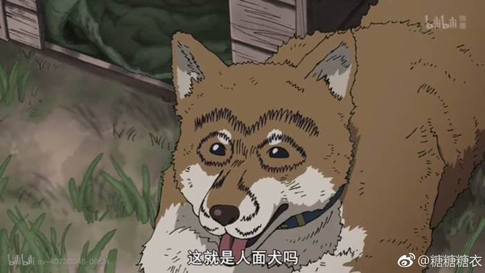 最近在看灵能百分百……人面犬，是你吗人面犬？！|人面|灵能百分百