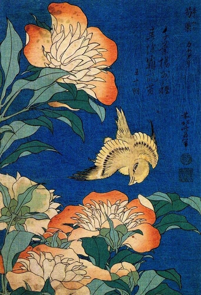 花鳥浮世繪36 花鸟图浮世绘（cr.葛饰北斋）|花鸟图|葛饰北斋|浮世绘