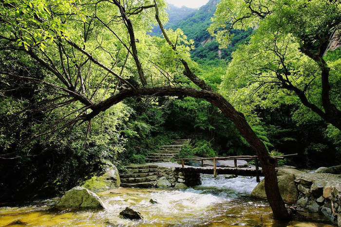 很多人不明白,陕西为什么叫“三秦大地”?|三秦|大地|项羽_新浪新闻