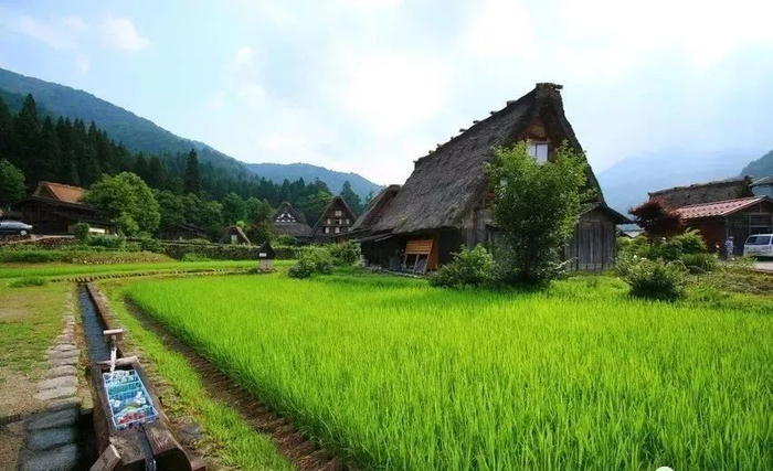 乡村旅游最佳案例——日本白川乡合掌村|白川乡|乡村旅游|建筑