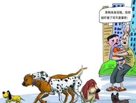 怕狗的人在这几种情况下,遇到狗怎么办?