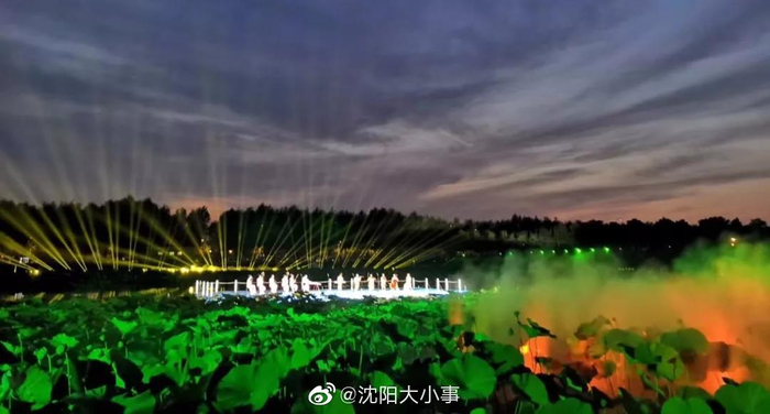 沈阳浑南中央公园九岛湖 沈阳“最美夜荷”免费开放继莫子山公园炫|炫彩|打卡|沈阳网|跑道|荷花池_新浪新闻