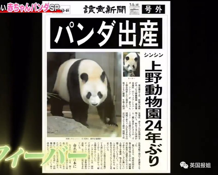 为到中国亲手养熊猫，日本妹子苦练四川话，终圆铲屎梦！