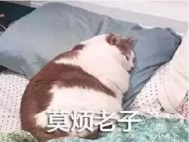 seo搜索引擎优化件