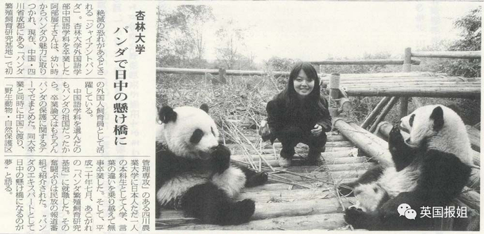 为到中国亲手养熊猫，日本妹子苦练四川话，终圆铲屎梦！