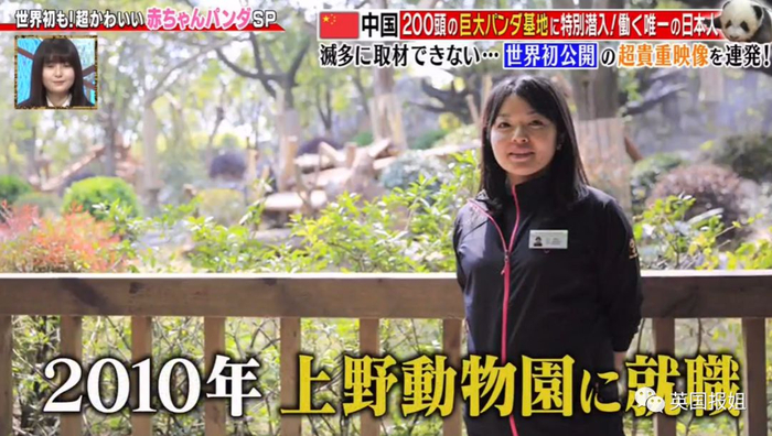 为到中国亲手养熊猫，日本妹子苦练四川话，终圆铲屎梦！