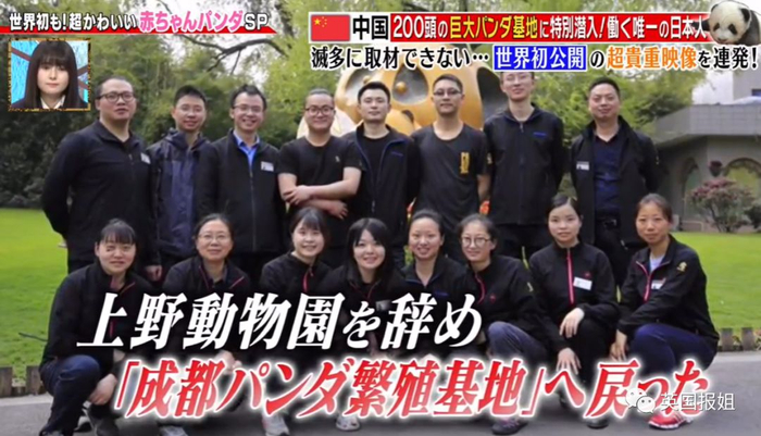 为到中国亲手养熊猫，日本妹子苦练四川话，终圆铲屎梦！