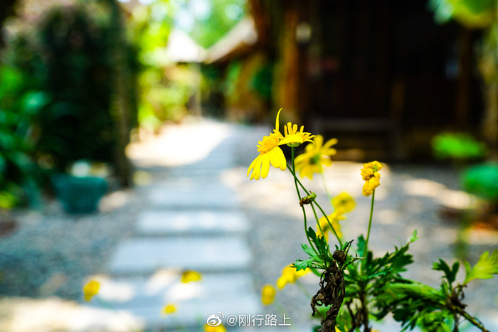 西双版纳民宿