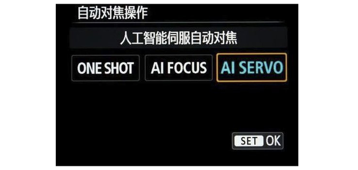 对焦是关键!详解摄影中对焦与对焦点的选择