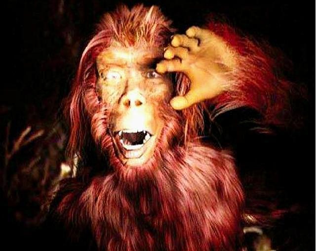 猴娃是人猴杂交的野人?20年前,专家在猴娃遗骨上发现了什么?|野人|遗骨|变异