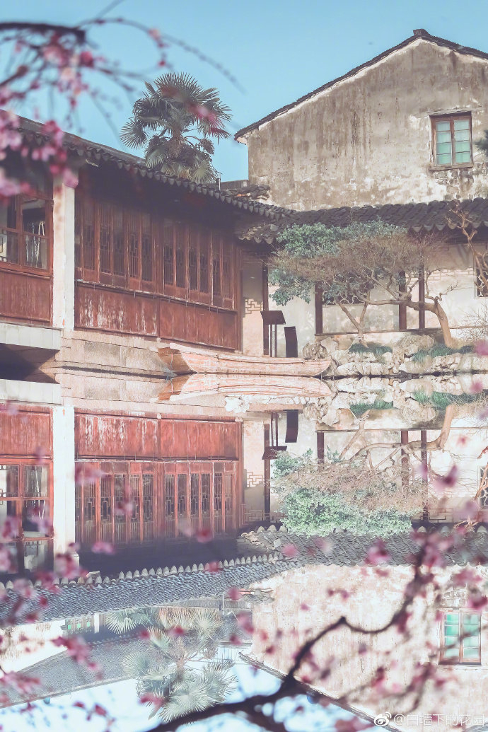 苏州人喜欢去喝茶的园林——艺圃