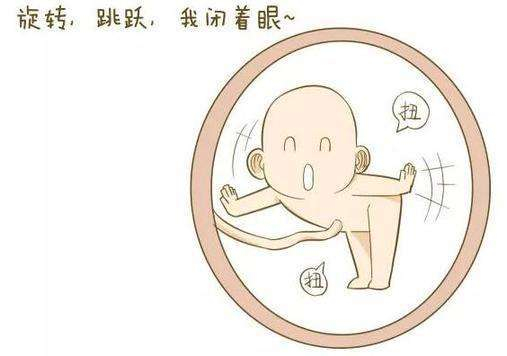 不同的孕月，胎动位置、孕妈妈感觉各不同，了解一下更好找胎心
