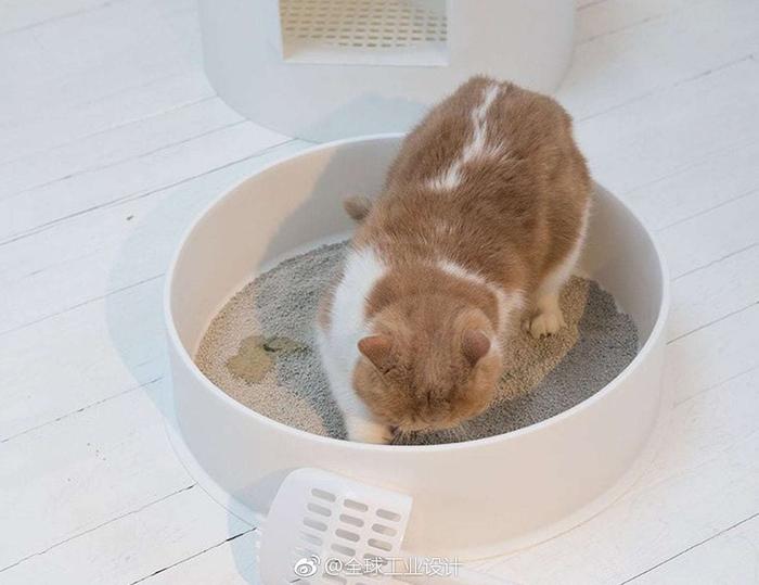 Pidan Snow雪屋猫砂盆,超大球形结构,宽敞弧形空间 Pidan Snow雪屋猫砂盆,超大球形结构,宽敞弧形空间