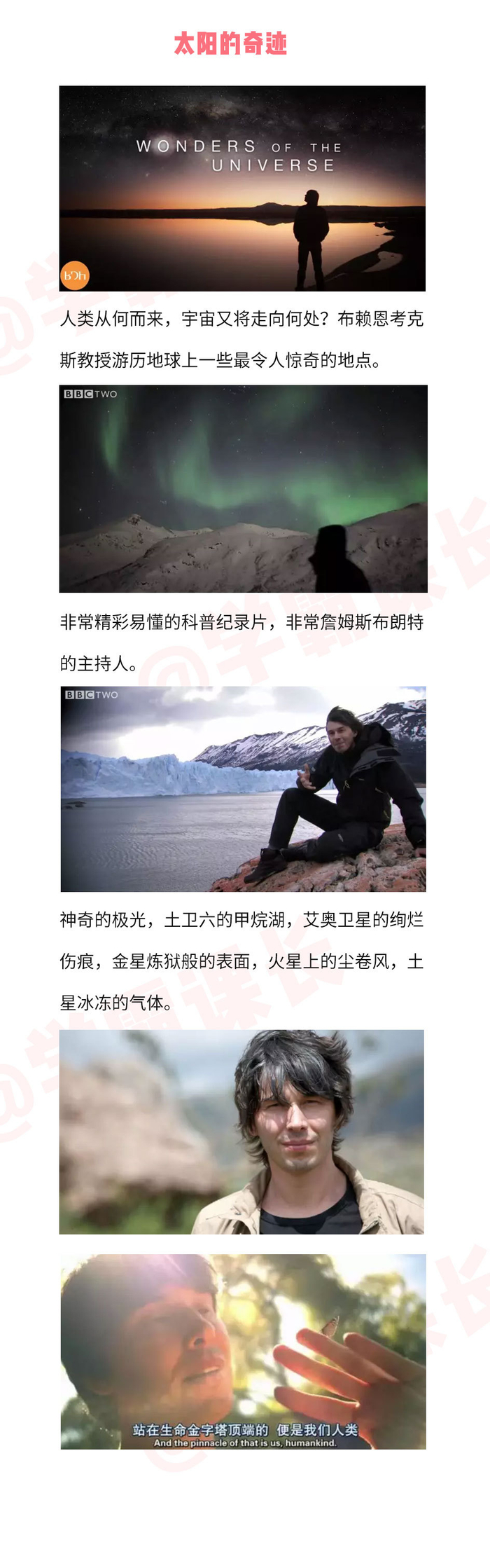 6部高分纪录片推荐合集,这个时间段在家必看系列