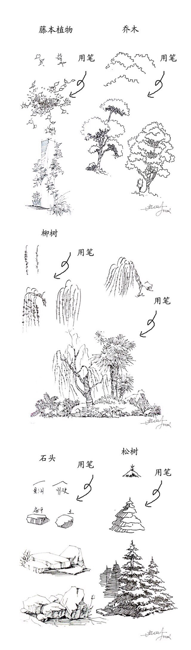 一学就会,植物手绘速写20种技法